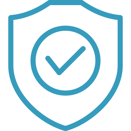 Data Safety